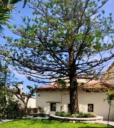 Chorio House Platanias Konuk evi Vrísai Dış mekan fotoğraf
